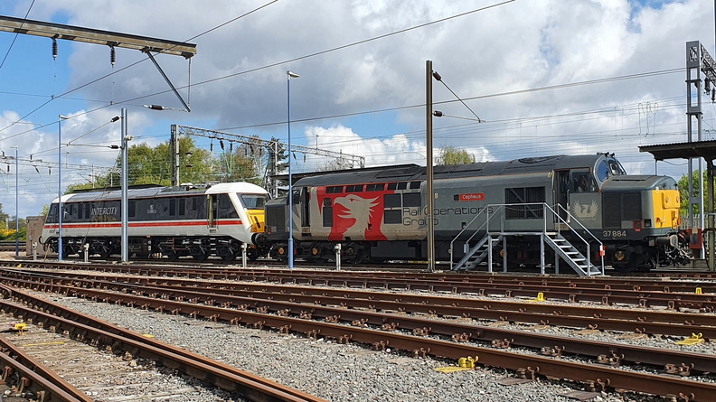 20210506_110552 (2).jpg